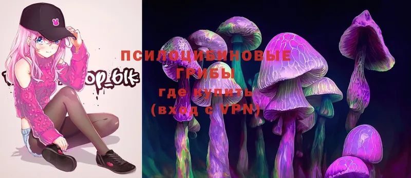 KRAKEN как зайти  Энем  Псилоцибиновые грибы MAGIC MUSHROOMS 